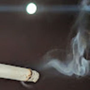 Meet your Posher, Duke